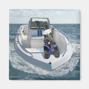 Scottish Terrier on the Boat Magnet