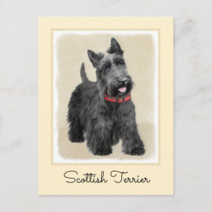 Scottish Terrier Painting - Cute Original Dog Art Postcard
