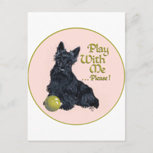 Scottish Terrier Play with Me! Postcard