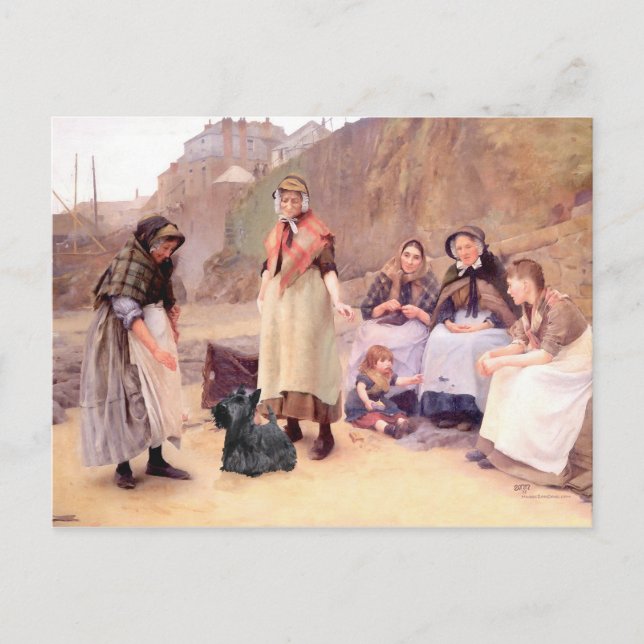 Scottish Terrier Post Card (Front)