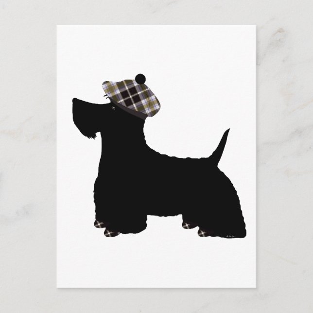 Scottish Terrier Postcard (Front)