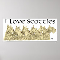 Scottish Terrier Poster