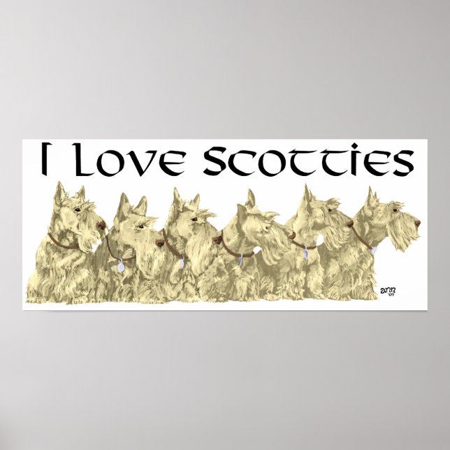 Scottish Terrier Poster (Front)