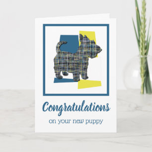 Scottish Terrier Puppy Dog Congratulation Greeting Card