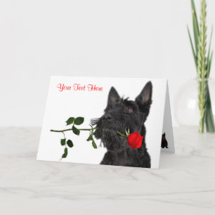 Scottish Terrier  Puppy Red Rose Valentine Design Holiday Card