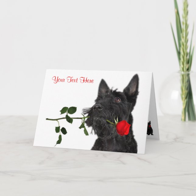 Scottish Terrier  Puppy Red Rose Valentine Design Holiday Card (Front)