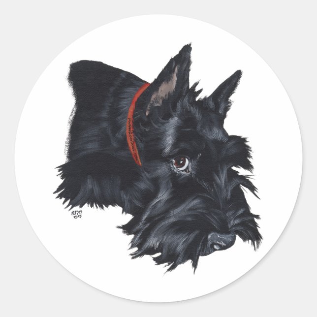 Scottish Terrier Resting Classic Round Sticker (Front)