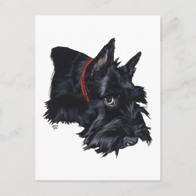 Scottish Terrier Resting Postcard (Front)