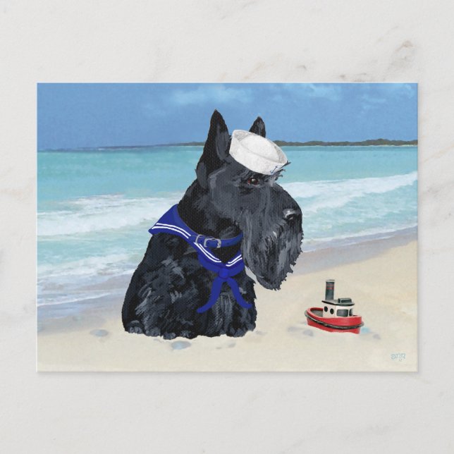Scottish Terrier Sailor Postcard (Front)