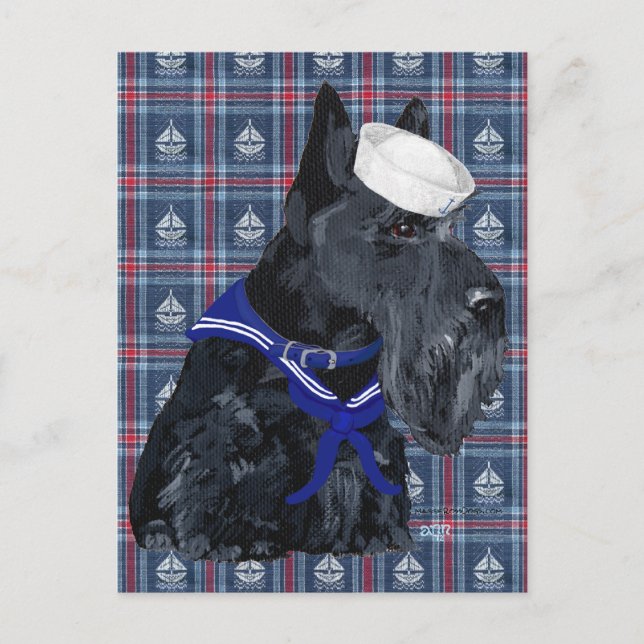 Scottish Terrier Sailor Postcard (Front)
