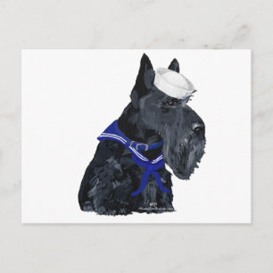 Scottish Terrier Sailor Postcard