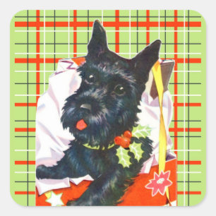 Scottish Terrier Scottie with green plaid stickers