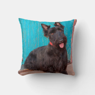 Scottish Terrier sitting by colourful doorway Cushion