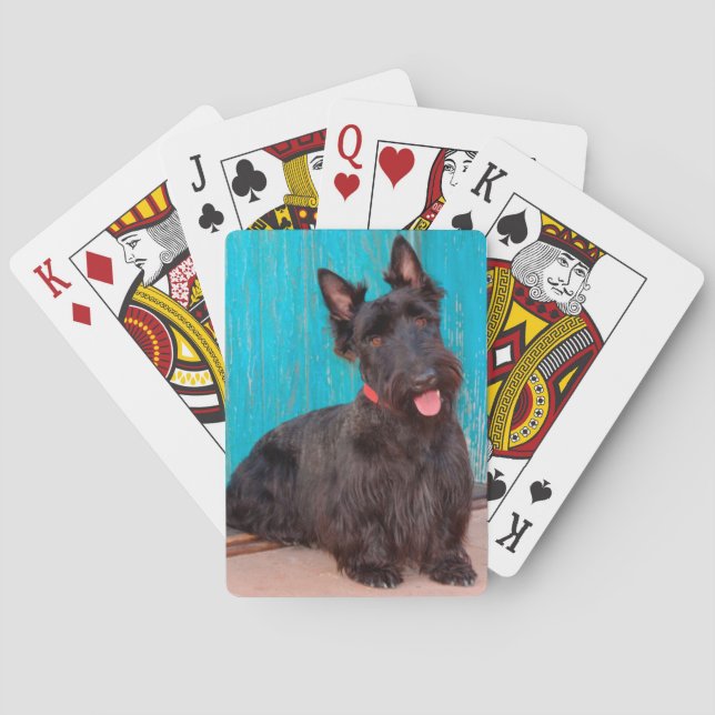 Scottish Terrier sitting by colourful doorway Playing Cards (Back)
