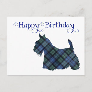 Scottish Terrier Tartan Silhouette Postcard