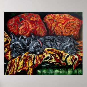 Scottish Terrier Trio Poster