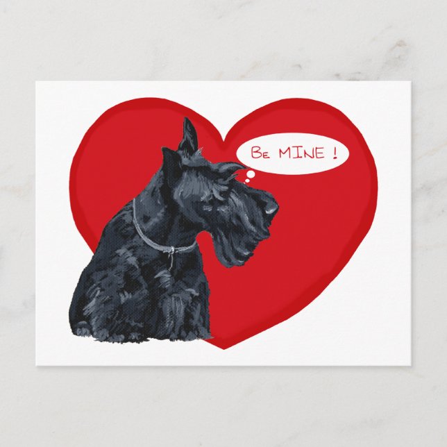 Scottish Terrier Valentine Holiday Postcard (Front)