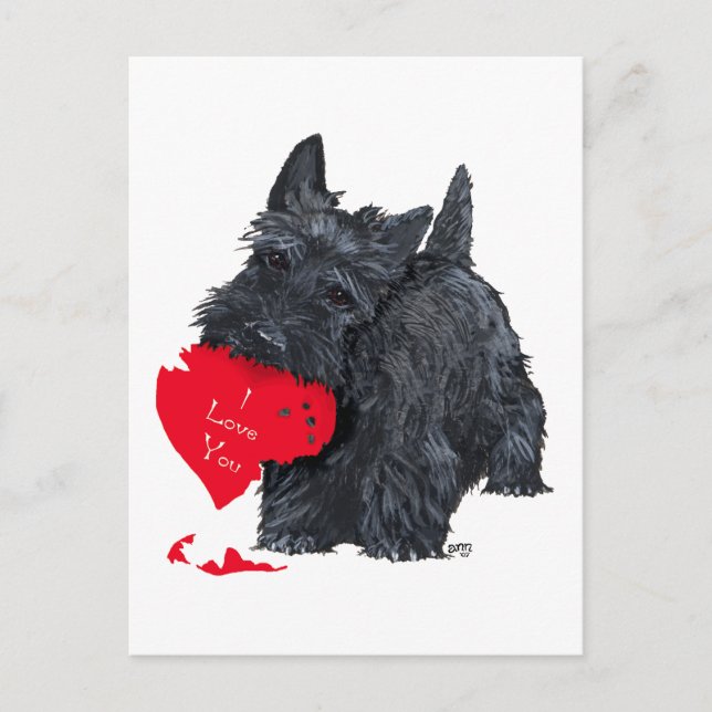 Scottish Terrier Valentine Holiday Postcard (Front)