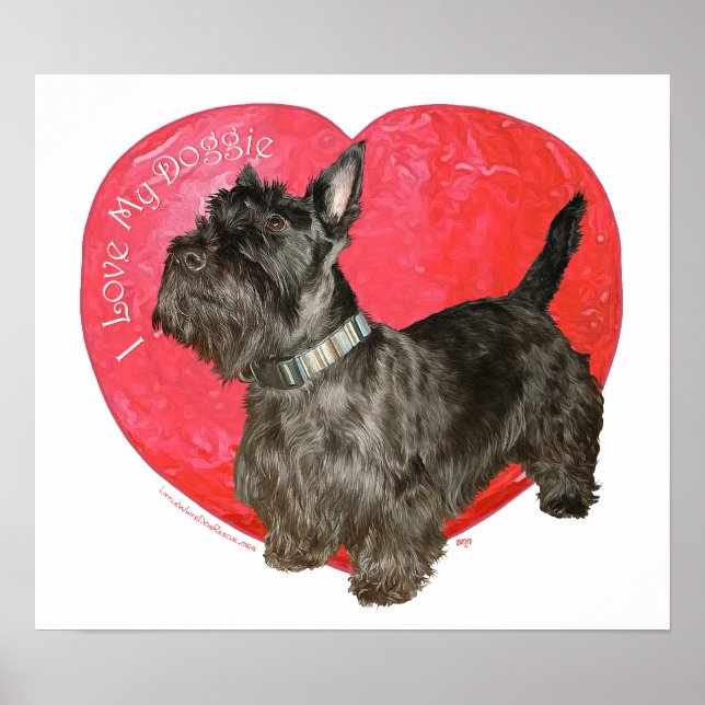 Scottish Terrier Valentine Poster (Front)
