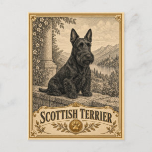 Scottish Terrier, Vintage Heritage Dog Postcard