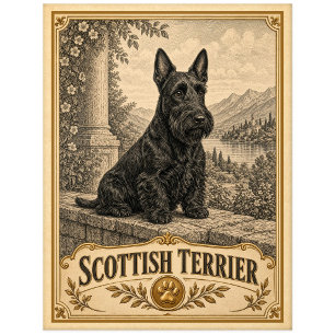 Scottish Terrier, Vintage Heritage Dog Postcard