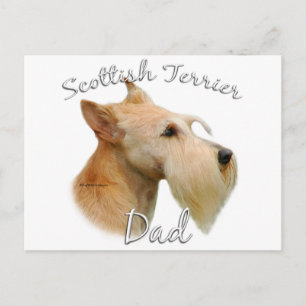 Scottish Terrier (wheaten) Dad 2 Postcard