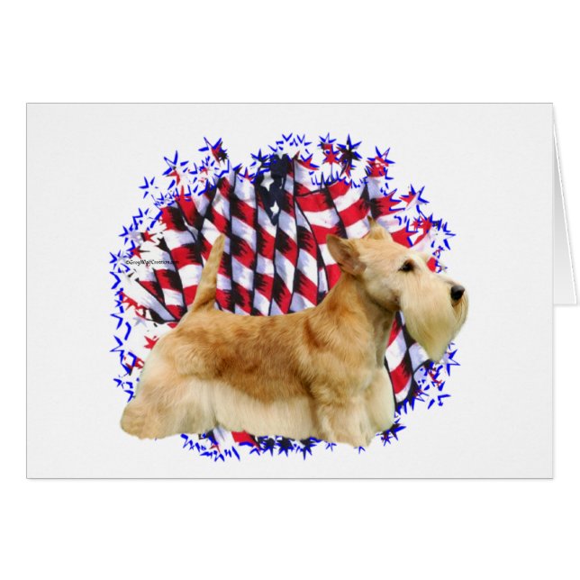 Scottish Terrier (wheaten) Patriot (Front Horizontal)