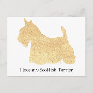 Scottish Terrier Wheaten Silhouette Postcard