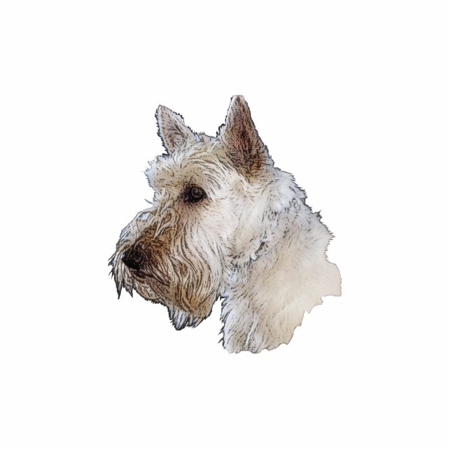 Scottish Terrier (Wheaten) Standing Photo Sculpture (Front)