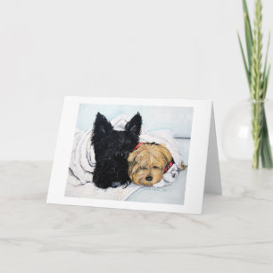 Scottish Terrier & Yorkie Best Friends Card