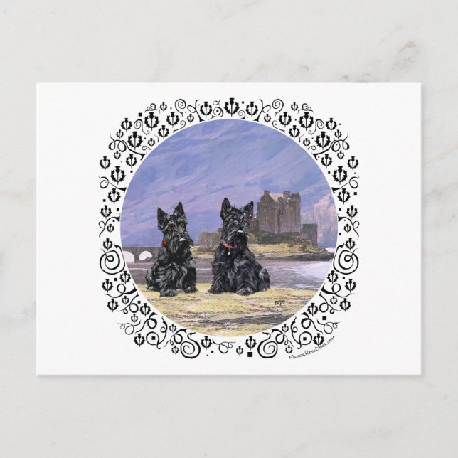 Scottish Terriers at Eilean Donan Castle Postcard (Front)