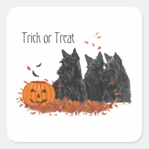 Scottish Terriers Halloween Square Sticker