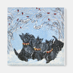 Scottish Terriers in the snow! Magnet
