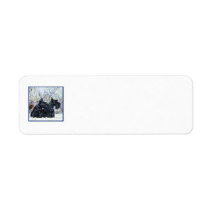 Scottish Terriers in Wintertime