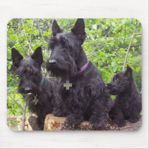 Scottish Terriers Mouse Mat