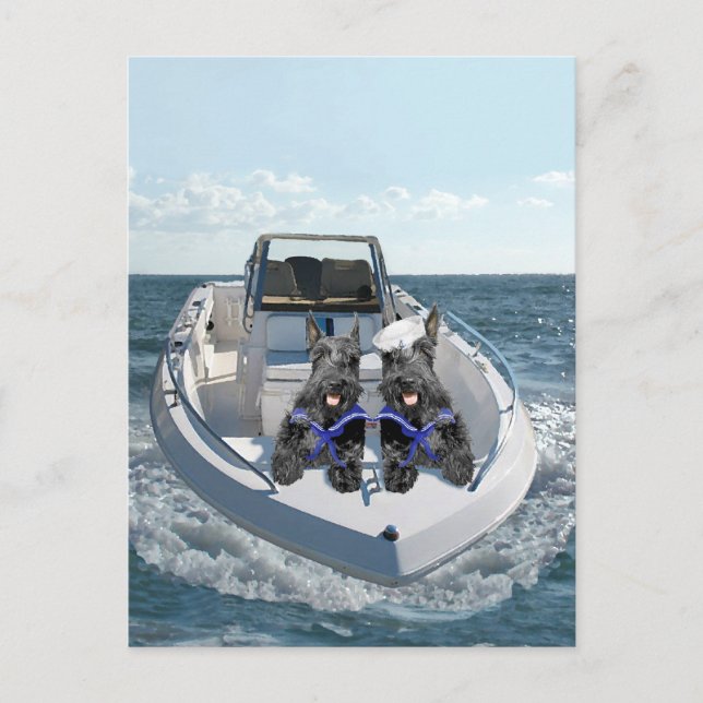Scottish Terriers on the Boat Postcard (Front)