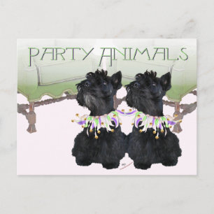 Scottish Terriers Party Animal Postcard