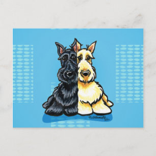 Scottish Terriers Two of a Kind Postcard