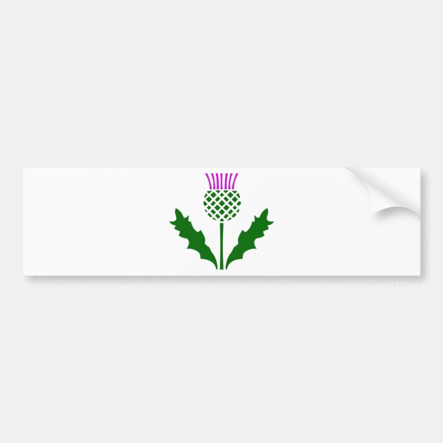 Scottish Thistle Bumper Sticker (Front)