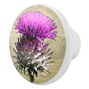Scottish Thistle Ceramic Knob