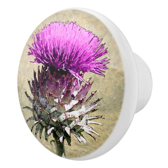 Scottish Thistle Ceramic Knob (Right)