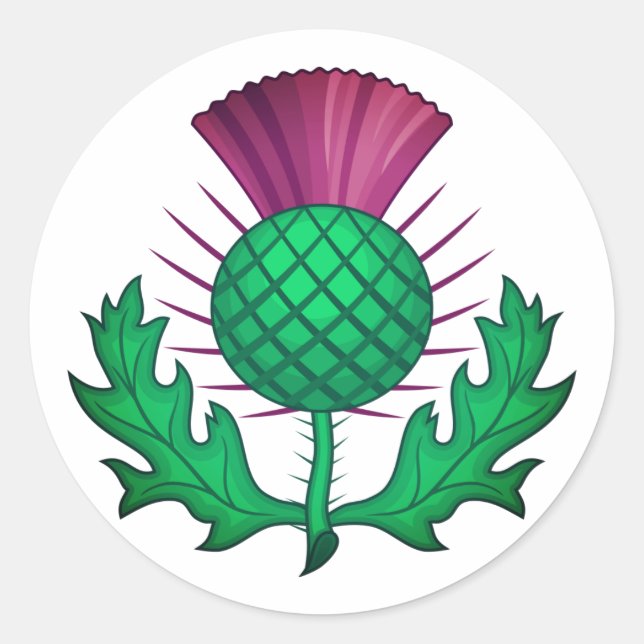 Scottish Thistle Classic Round Sticker (Front)