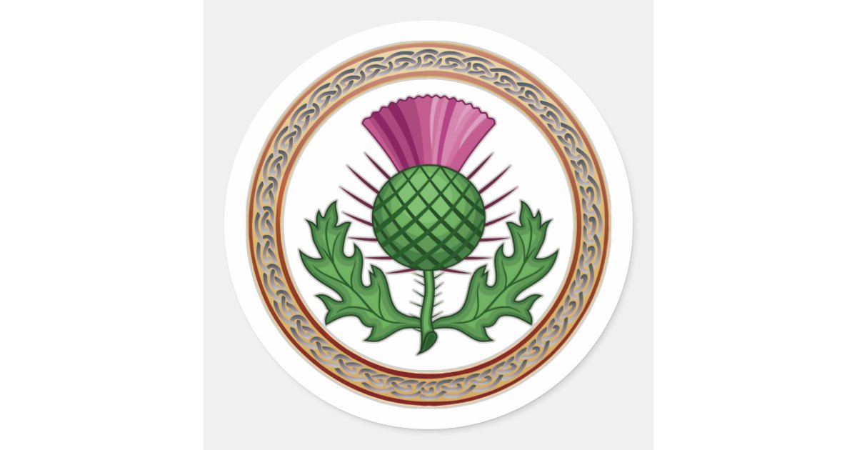 Scottish Thistle Symbol Badge Classic Round Sticker Zazzle