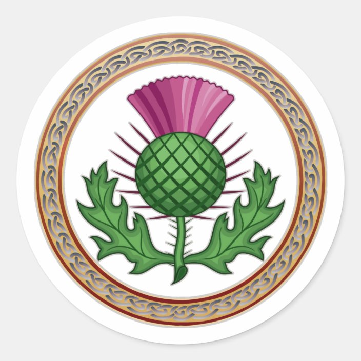 Scottish Thistle Symbol Badge Classic Round Sticker Zazzle.co.uk