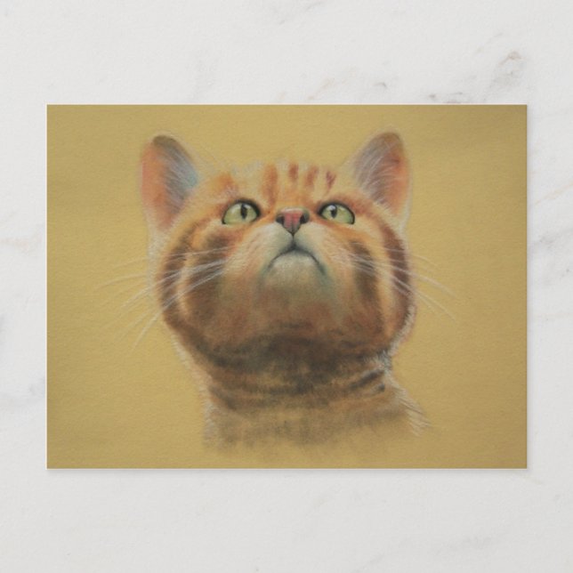 Scottish Wildcat Postcard (Front)