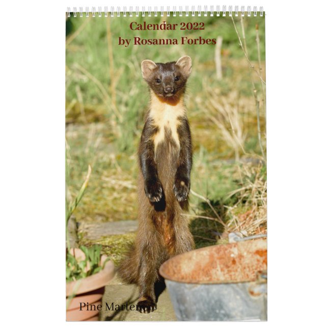 Scottish Wildlife Calendar 2022 (Cover)