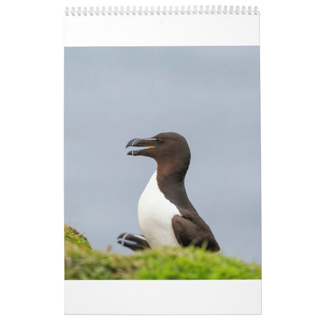Scottish Wildlife, Wild and free Calendar (Cover)