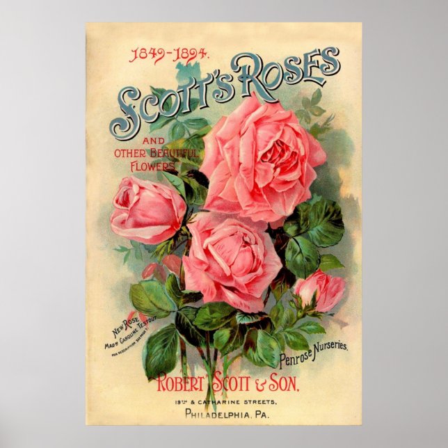 Scotts Roses Advertisement Poster (Front)