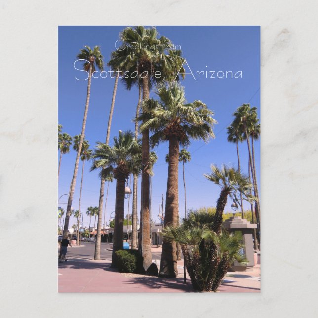 Scottsdale, Arizona Postcard (Front)