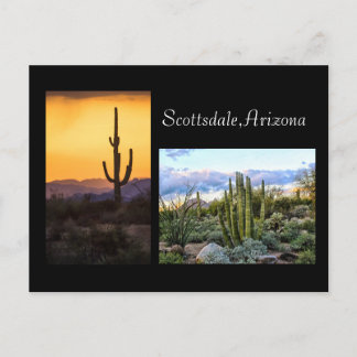 Scottsdale landscape duet postcard
